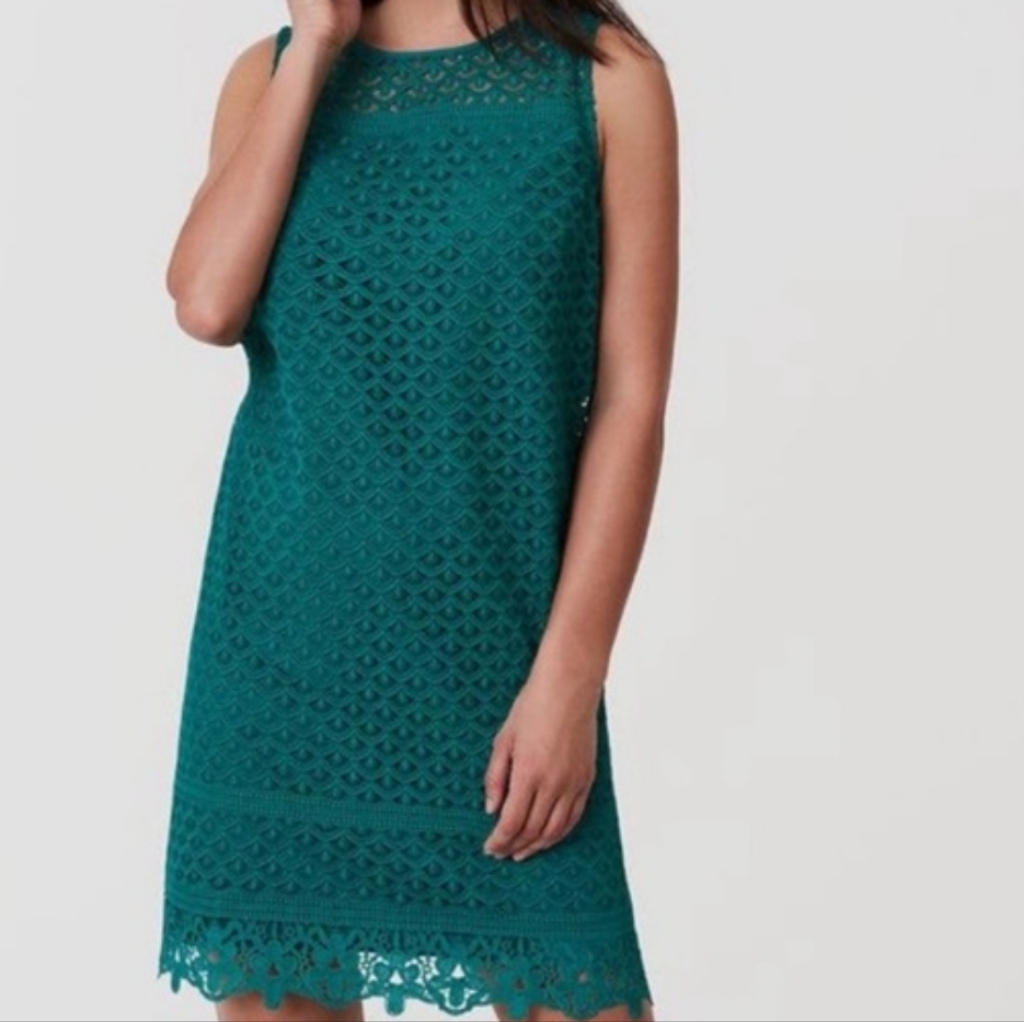 Loft Stunning Dress